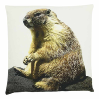 Canvas Kussen Marmot 50x50cm*