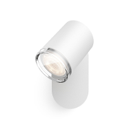 Philips Witte Badkamerlamp Hue Adore   White Ambiance    929003056101