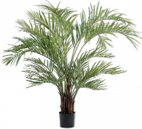 Palm Groen   170cm