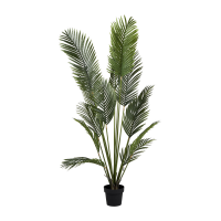 Palm Kunstplant Xl   170 Cm